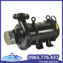 Bơm Đài Phun Nước LUBI Ấn Độ – Giải Pháp Vận Hành Ổn Định Cho Hệ Thống Cảnh Quan