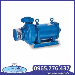 Máy bơm thả chìm trục ngang Varuna Ấn Độ – Giải pháp bơm chuyên dụng cho đài phun nước